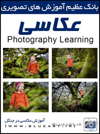 آموزش عکاسی - چند ترفند برای عکاسی پرتره در جنگل