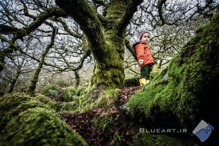 آموزش عکاسی - چند ترفند برای عکاسی پرتره در جنگل