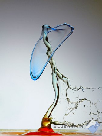 عکاسی از قطره های آب water drop photography توسط مصطفی نادرپور