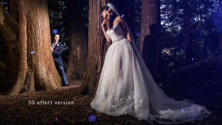 اسکرین شات پروژه افترافکت Wedding Photo